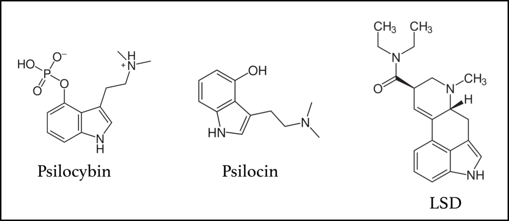 Chemical structures of psilocybin, psilocin, and LSD. You can read more about psychedelic chemistry here